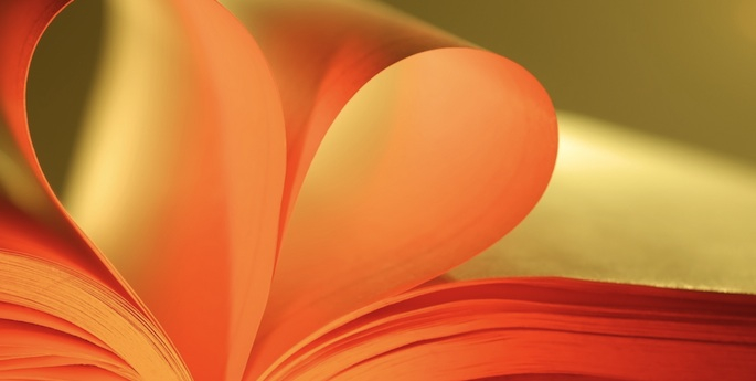 Our 11 Favorite Books of the Year