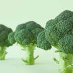 broccoli_240
