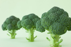 broccoli_240