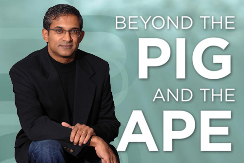 Editors' Pick: Beyond the PIG and the APE, by Krishna Pendyala