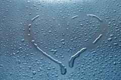 This Is Water