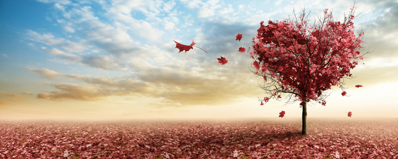 9 Meditations on Gratitude and Grace