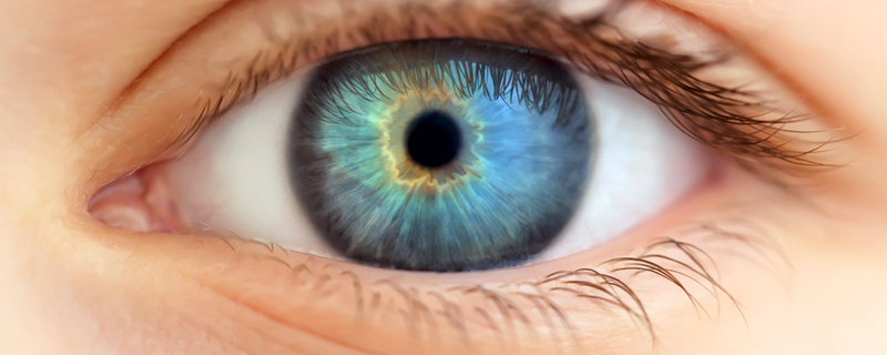 9 Meditations on Gratitude and Grace