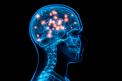 New Brain Studies That Fascinated Us