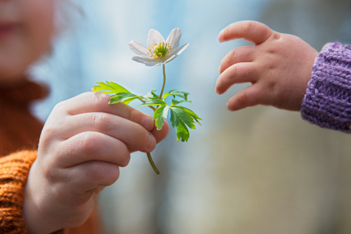 The Helper’s High: The Science Behind Why It Feels Good to Give