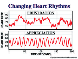 Keeping Heart and Brain in Harmony