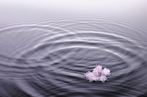 Floating for Bliss in a Sensory Deprivation Tank