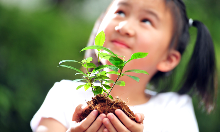 Girl holding small plant