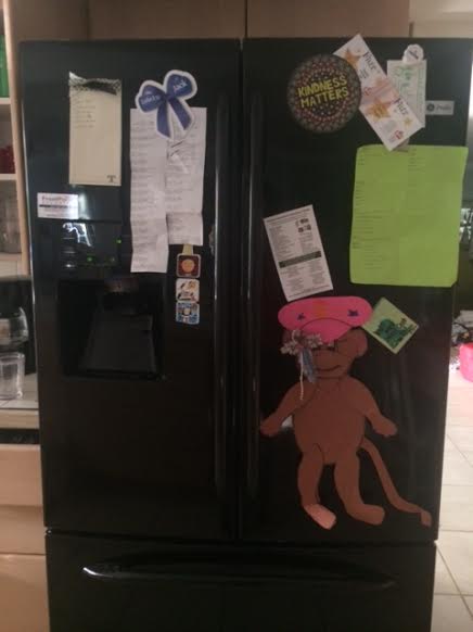 kitchen-fridge-one
