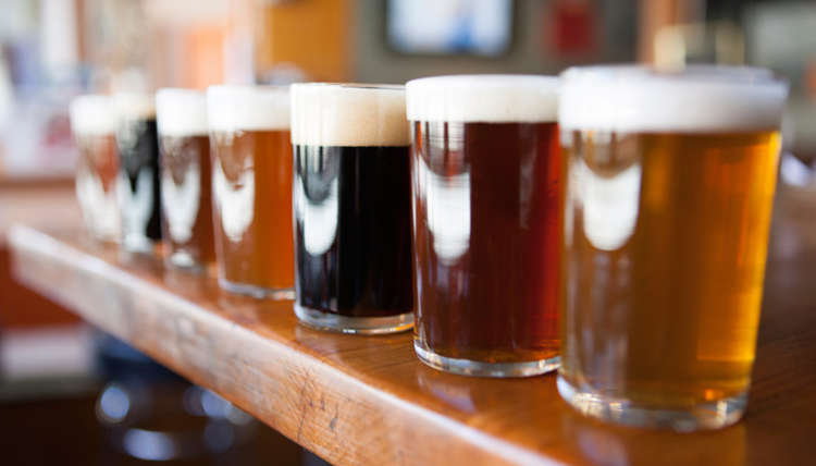 How Drinking Beer Benefits The Brain