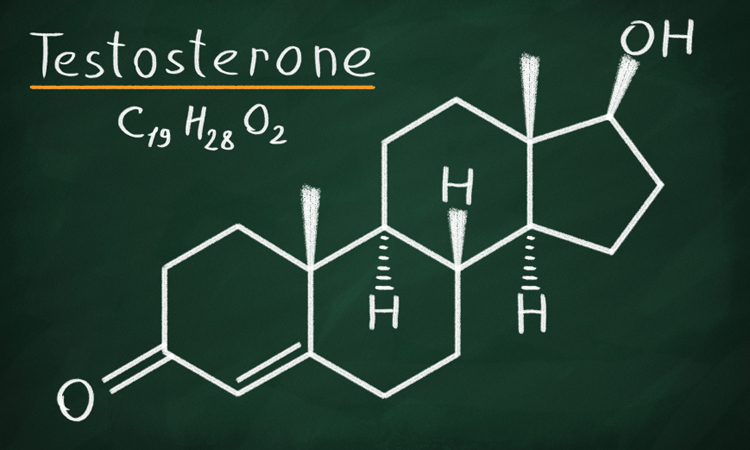 Understanding Sex Hormones in Men