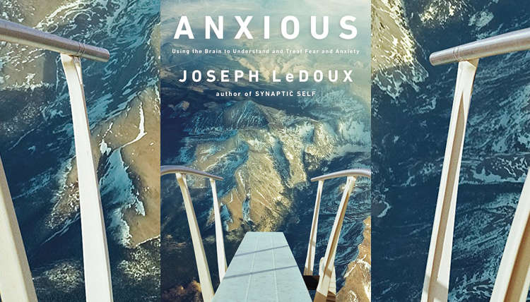 Anxious: Using The Brain To Understand And Treat Fear And Anxiety