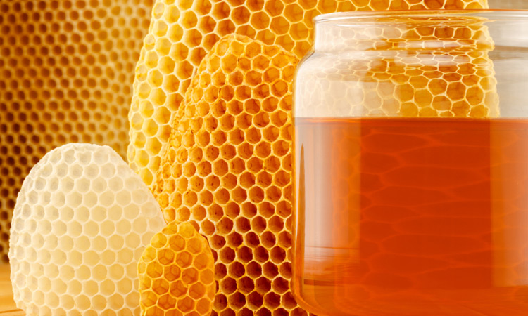 The Benefits Of Honey