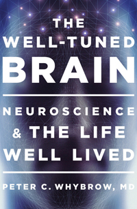 the-well-tuned-brain