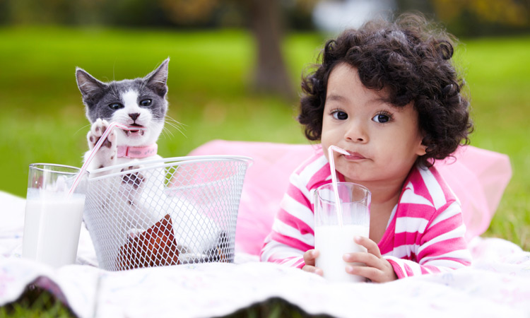 cat and young girl drinking milk