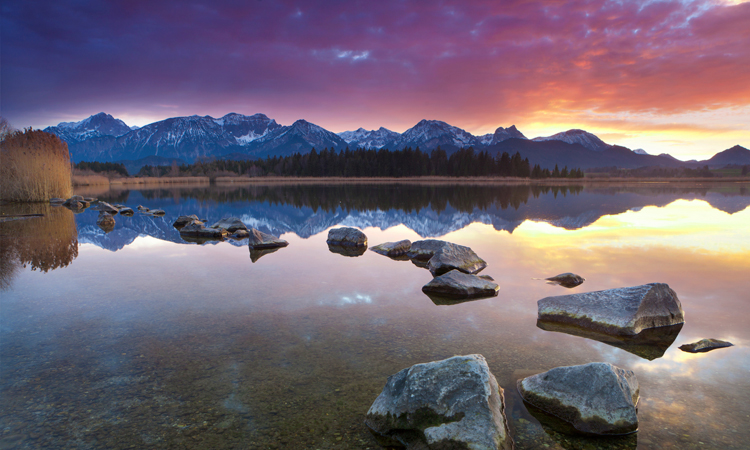 Guided Meditation: Bring Your Awareness Back to Your Breath