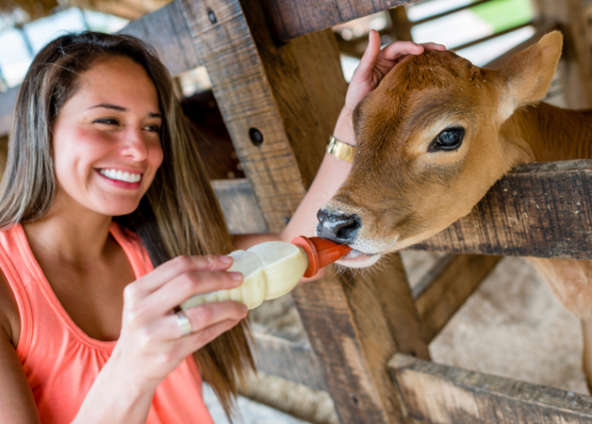 7 Powerful Ways To Live a Highly Compassionate Lifestyle