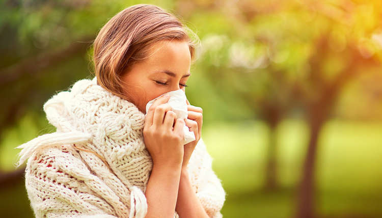 The 6 Best Natural Cold and Flu Fighting Strategies