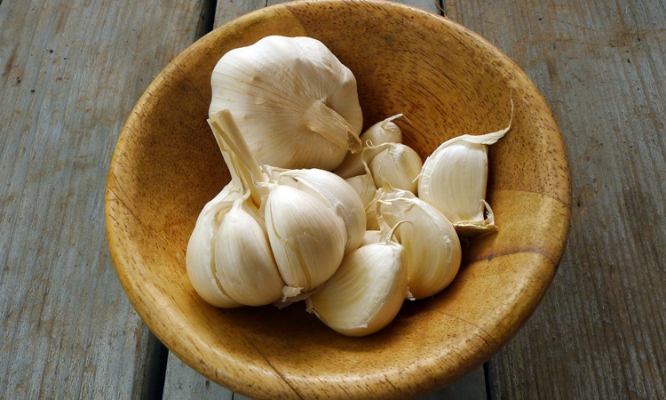 garlic