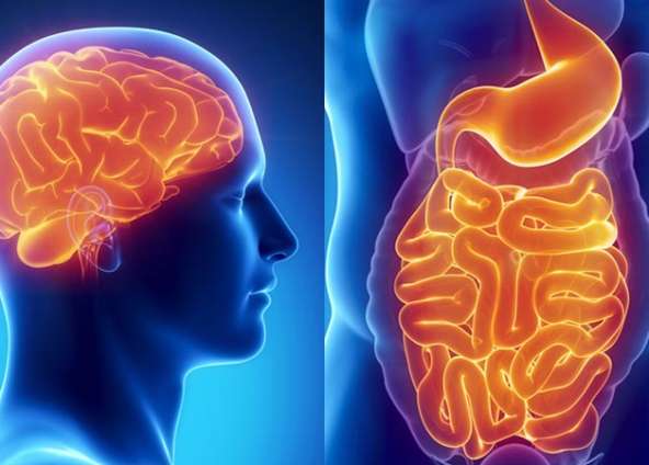 4 Ways Leaky Gut Affects Your Mind
