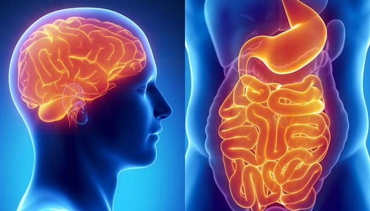 4 Ways Leaky Gut Affects Your Mind