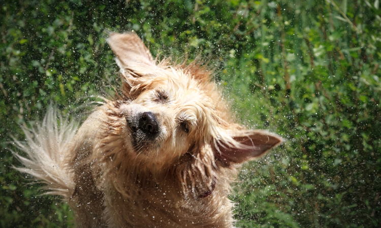 Your Assignment: Shake Things Loose