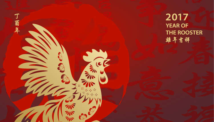 Understanding the Chinese New Year