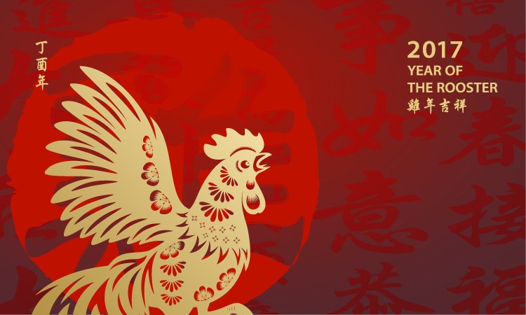 Understanding the Chinese New Year