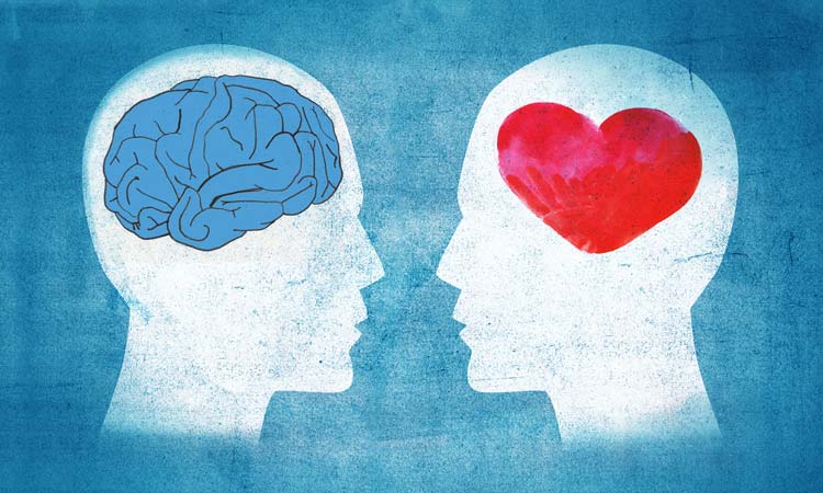 The Heart-Brain Connection