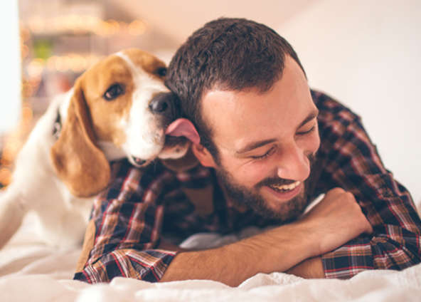 Benefits of Pet Therapy