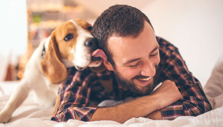 Benefits of Pet Therapy