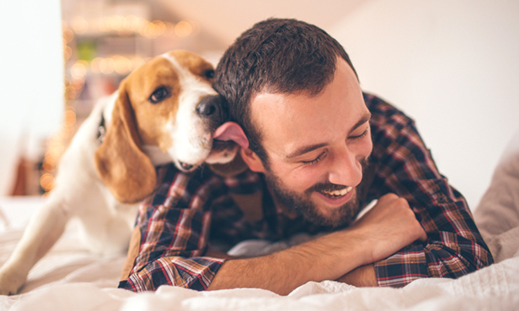 dog licking man's face