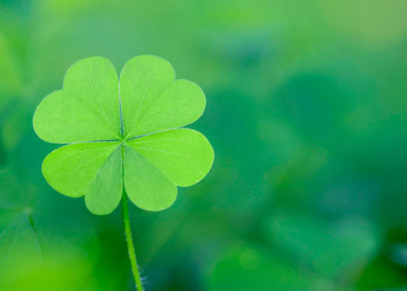 10 Good Luck Charms When You Don’t Have a Four-Leaf Clover