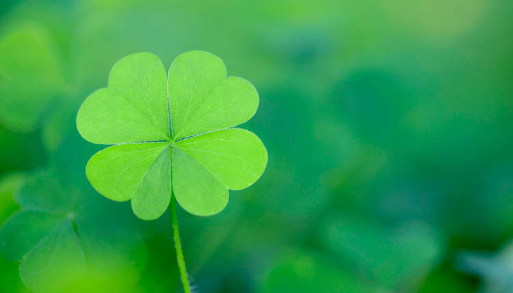 10 Good Luck Charms When You Don’t Have a Four-Leaf Clover