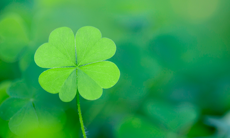 10 Good Luck Charms When You Don’t Have a Four-Leaf Clover