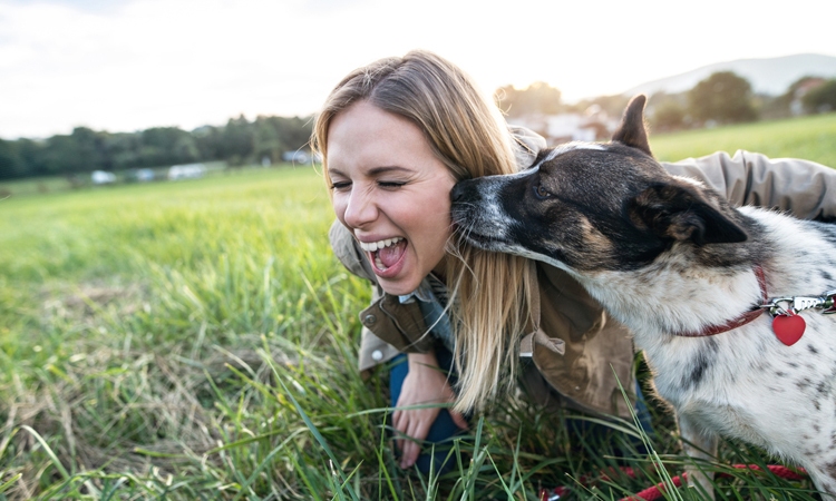 dog-licking-face