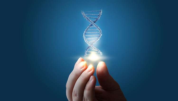 Personal Epigenetics: A New Era in Health and Medicine