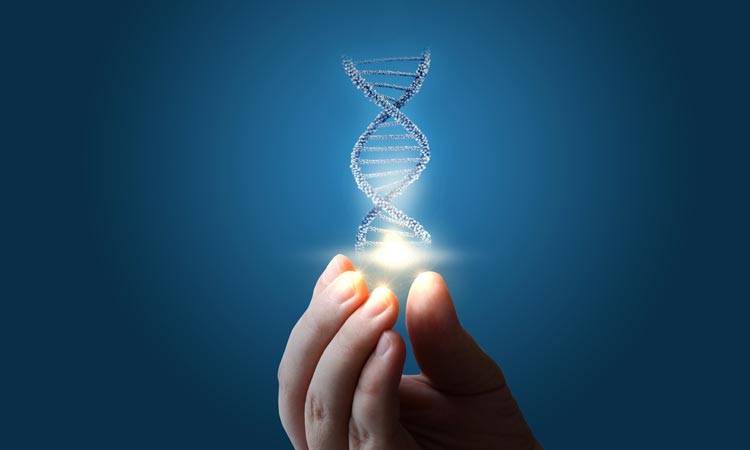 Personal Epigenetics: A New Era in Health and Medicine