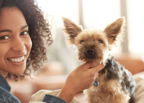 Waldo’s Wisdom: 4 Ways Animals Can Help You Cope with Anxiety and Stress