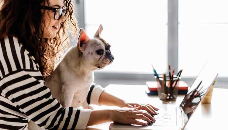 Waldo’s Wisdom: Why You Should Bring Your Dog To Work