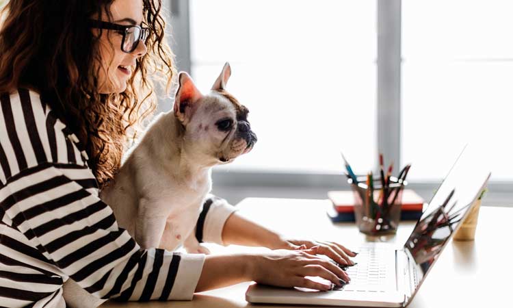 Waldo’s Wisdom: Why You Should Bring Your Dog To Work