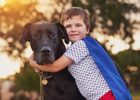 Waldo’s Wisdom: Why Having A Pet Teaches Your Child Empathy