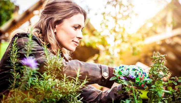 Why Gardening Helps As You Age
