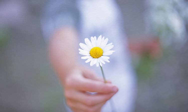 how-to-be-generous giving flower