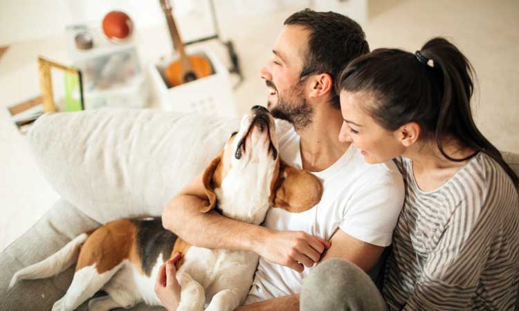 LIFE-LESSONS-YOU-CAN-LEARN-FROM-YOUR-DOG couple hugging dog