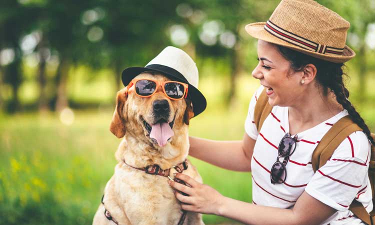 Waldo’s Wisdom: What’s Really Going On In Your Dog’s Mind