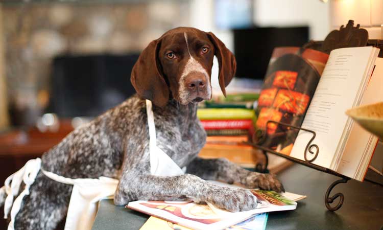 Cooking-For-Your-Dog dog preparing a recipe