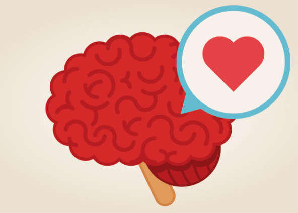 The Heart’s Impact on the Brain