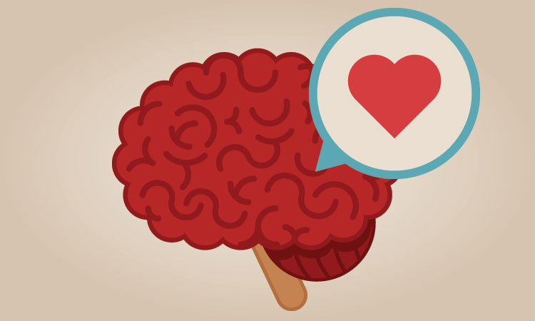 The-Hearts-Impact-on-the-Brain