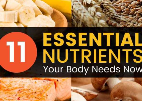 11 Essential Nutrients Your Body Needs Now